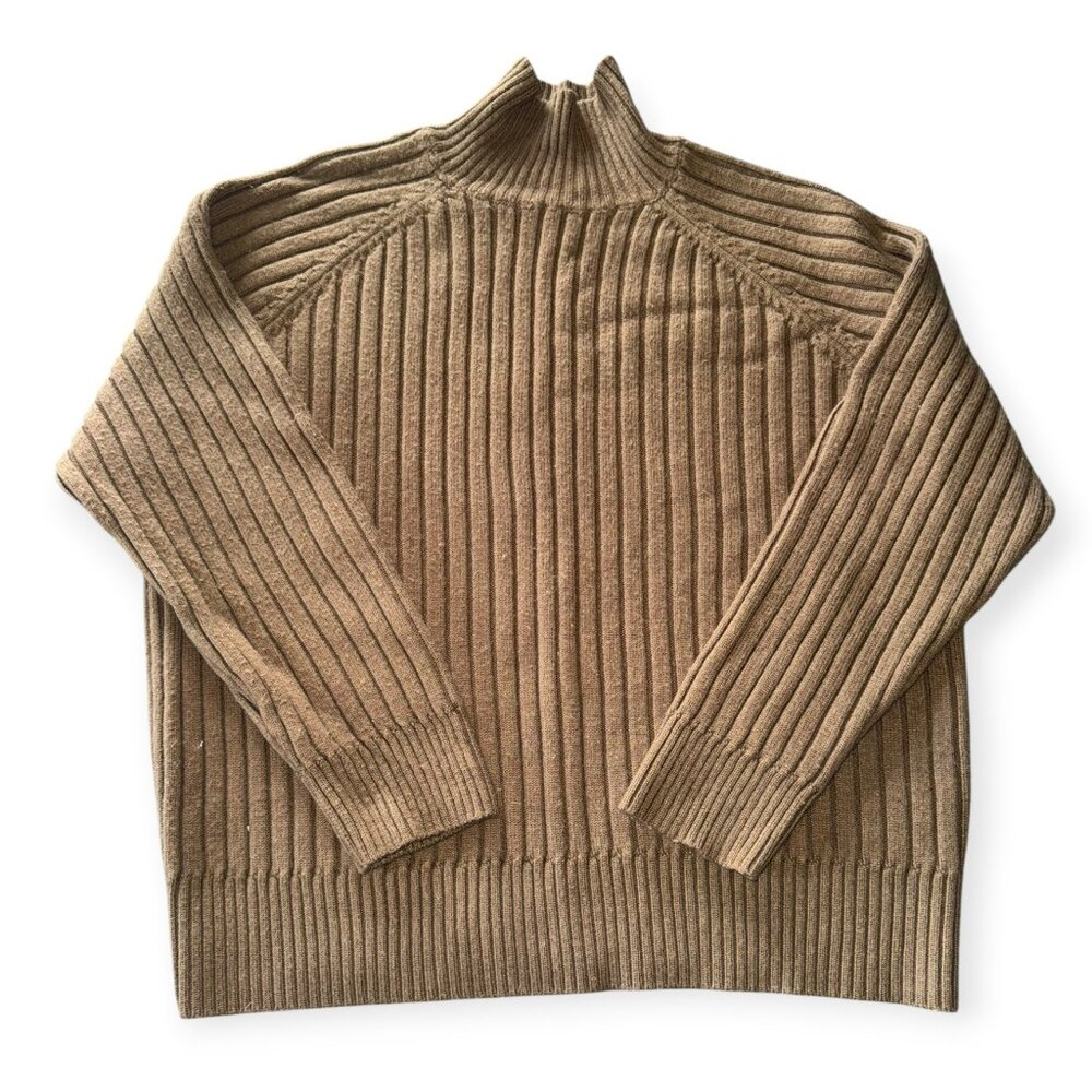 Brown Zara Turtleneck Sweater
